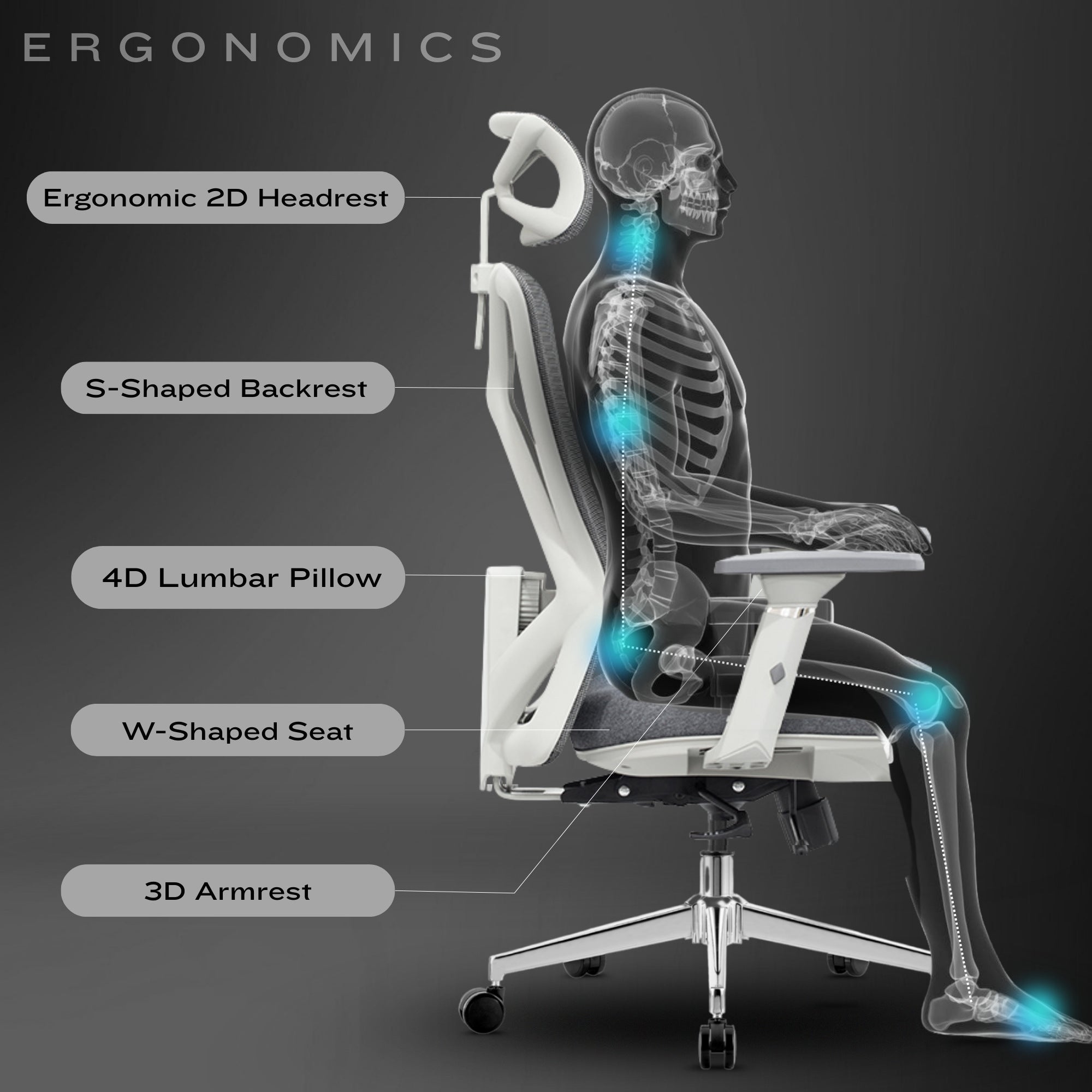 Neuarc Prejudice Ergonomic Office Chair