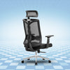 Neuarc Spinal Ergonomic Office Chair with 3D  Armrests with Seat Slider (Black)