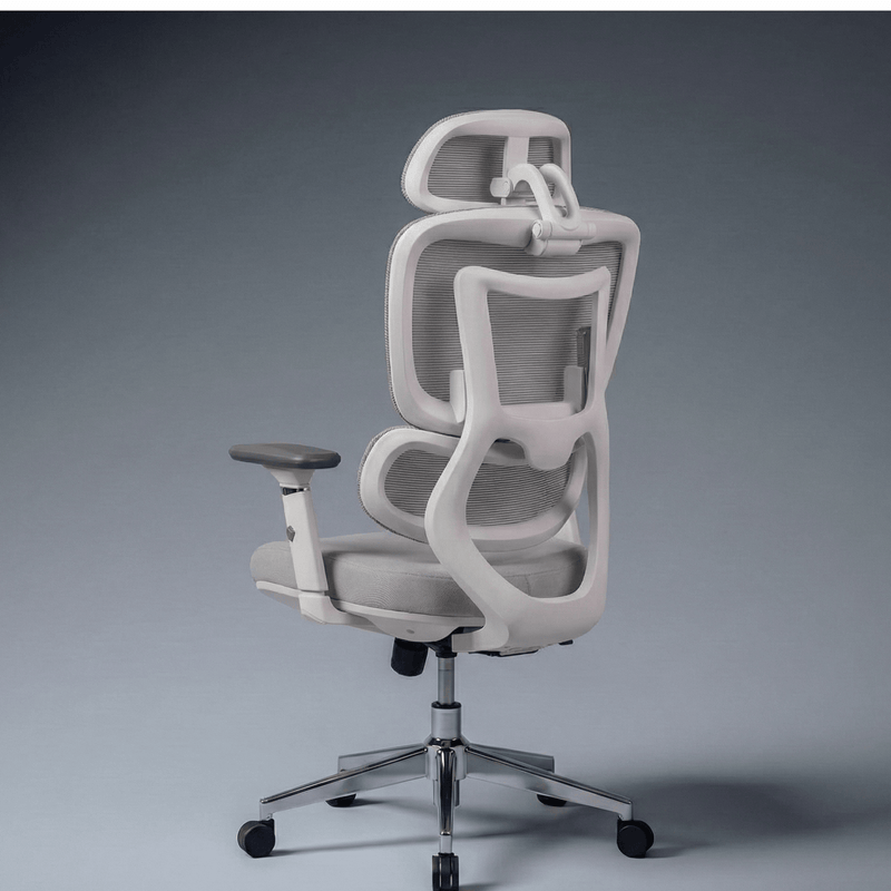 NeuArc Synergy Office Chair For Work and Gaming with Adjustable Backrest, Dual Arc Lumbar, NeuSlide Seat Slider with Multi Locking, 4D Armrest