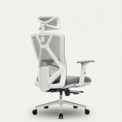 Neuarc Prejudice Ergonomic Office Chair