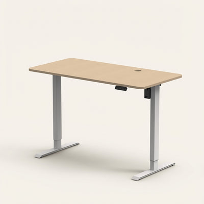 Neuarc Velocity Electric Height Adjustable Desk For Gaming and Home Office, 120 x 60 cm Table Top (Ork)