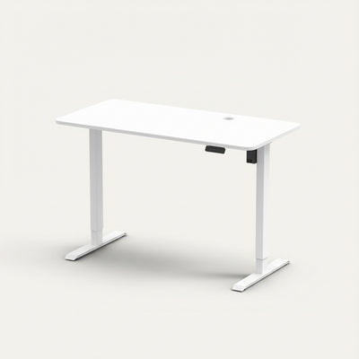 Neuarc Velocity Electric Height Adjustable Desk For Gaming and Home Office, 120 x 60 cm Table Top (White)
